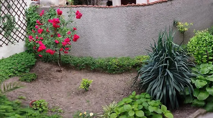 Konukevi House Gabi Süzebolu
