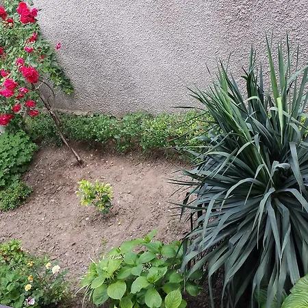 Pensjonat House Gabi 3*