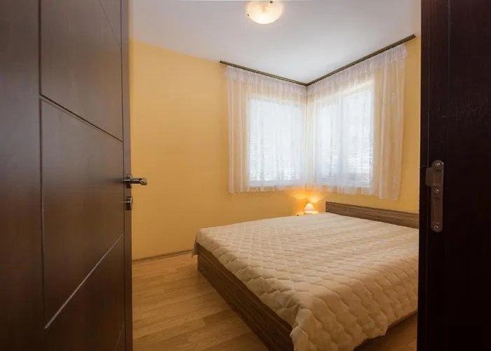 בית הארחה House Gabi סוזופול