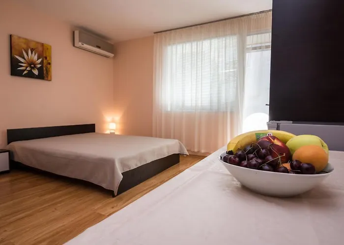 בית הארחה House Gabi סוזופול