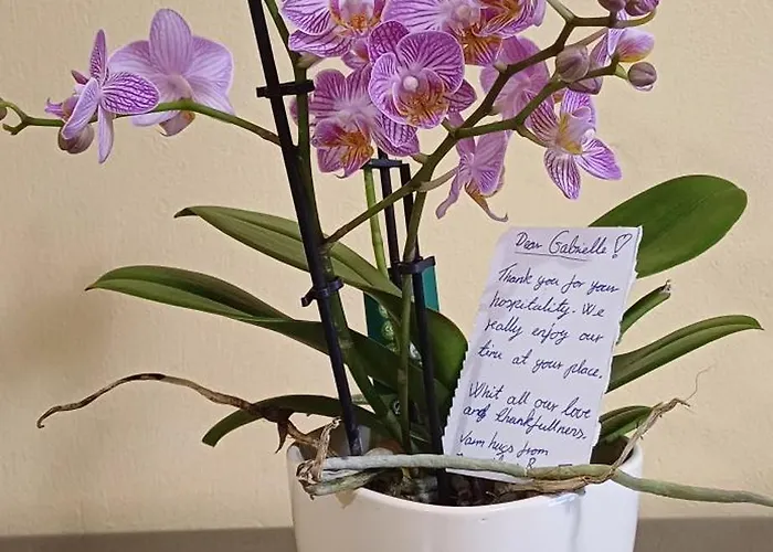 House Gabi סוזופול