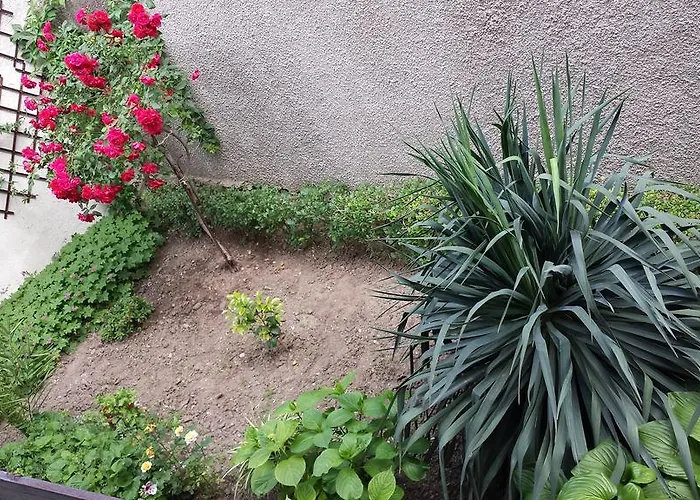 Guest house House Gabi 3*