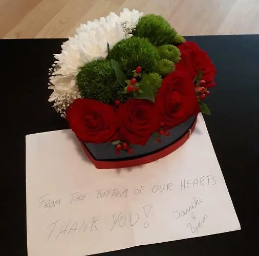 House Gabi סוזופול